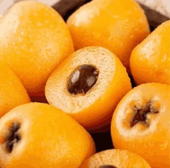 Apricot Tree seeds