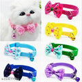 ABS Plastic Coller Belt for Pet (Multicolor, Pack of 2)