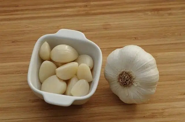 Garlic seeds ( Pack of 20) + Free Plant Growth Serum