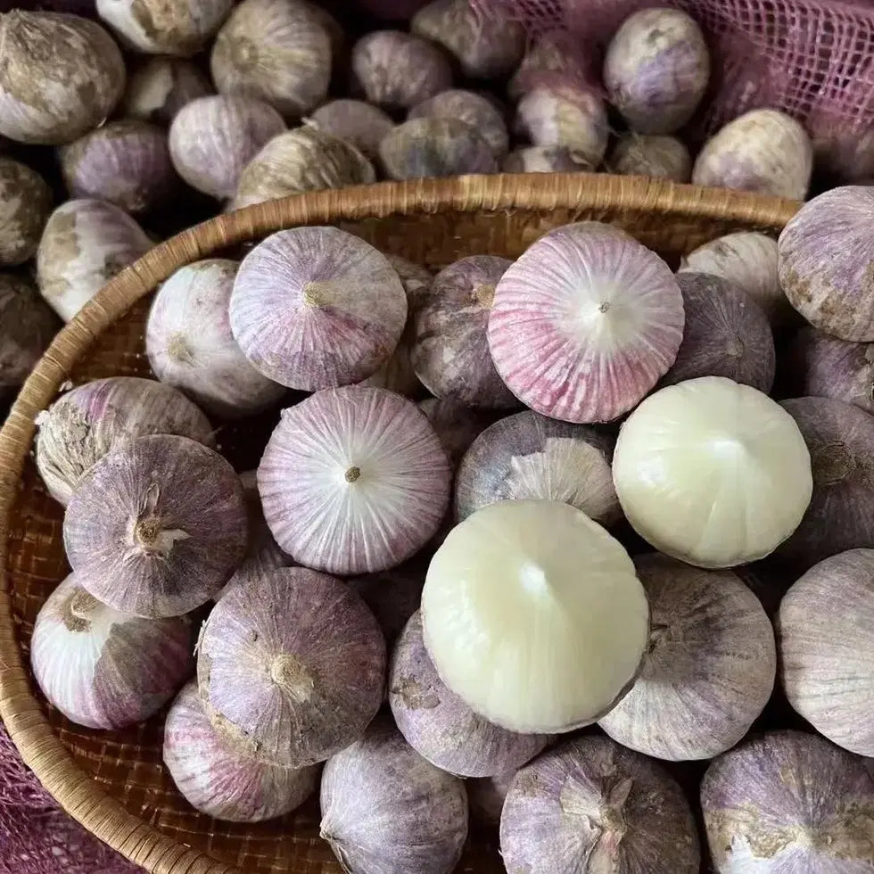 Garlic seeds ( Pack of 20) + Free Plant Growth Serum