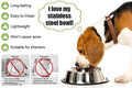 Stainless Steel Feeding Bowls for Pet (Multicolor, 800 ml)